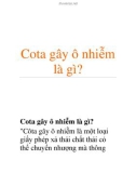 Cota gây ô nhiễm là gì?