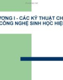 CHƯƠNG I - CÁC KỸ THUẬT CHÍNH CỦA