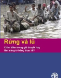 Rừng và lũ