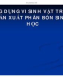 ứng dung vi sinh vật trong sản xuất phân bón