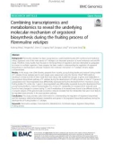 Combining transcriptomics and metabolomics to reveal the underlying molecular mechanism of ergosterol biosynthesis during the fruiting process of Flammulina velutipes