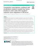 Comparative transcriptome combined with metabolome analyses revealed key factors involved in nitric oxide (NO)-regulated cadmium stress adaptation in tall fescue