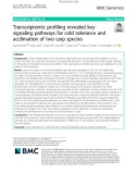 Transcriptomic profiling revealed key signaling pathways for cold tolerance and acclimation of two carp species