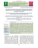 Biosynthesis and characterization of ZnO nanoparticles from spinach (Spinacia oleracea) leaves and its effect on seed quality parameters of greengram (Vigna radiata)