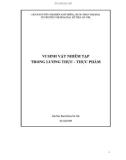 Vi sinh vật nhiễm tạp trong lương thực thực phẩm