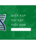 Bài giảng Vi sinh vật: Biến nạp, tải nạp, tiếp hợp