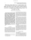 Biến động thành phần loài và mật độ phiêu sinh động vật ở khu vực ao nuôi cá lóc (Ophiocephalus maculatus Lacepede) tại xã Hàm Giang, huyện Trà Cú, tỉnh Trà Vinh