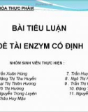 Đề tài Enzym cố định 