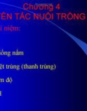 Bài giảng Sinh học và kỹ thuật trồng nấm - Chương 4: Nguyên tắc nuôi trồng nấm