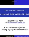 Bài giảng Kinh tế và quản lý môi trường: Chương 4 - Nguyễn Hoàng Nam