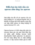 Điều hoà âm tính của các operon cảm ứng: lac operon