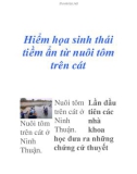 Hiểm họa sinh thái tiềm ẩn từ nuôi tôm trên cát