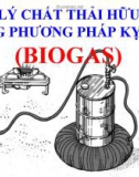 Xử lý chất thải hữu cơ bằng phương pháp kỵ khí