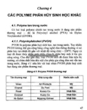 Công nghệ polyme phân hủy sinh học: Phần 2