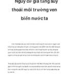 Nguy cơ gia tăng suy thoái môi trường ven biển nước ta