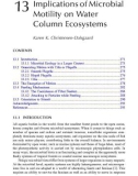 ECOLOGY and BIOMECHANICS - CHAPTER 13