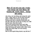 Bàn về vai trò của cây ( hoặc của rừng)