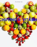 Bài giảng Chương II: Vitamin