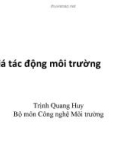 Đánh giá tác động của môi trường