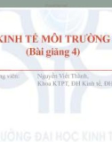 Kinh tế môi trường - Bài giảng 4