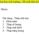 Bài giảng Cơ sở khoa học môi trường: Hệ sinh thái môi trường - Nguyễn Thanh Bình (P8)