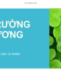 Bài giảng Môi trường đại cương: Các vấn đề chung về Môi trường - ThS. Hoàng Thị Phương Chi