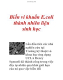 Biến vi khuẩn E.coli thành nhiên liệu sinh học