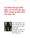 Các khoa học gia phát hiện vai trò mới của tiny RNA trong sự phát triển của thực vật