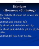 Bài giảng Sinh lý thực vật - Bài 5: Ethylene (Hormone vết thương)