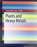 Ebook Plants and heavy metals