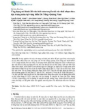 Ứng dụng mô hình 2D cho bài toán truyền tải rác thải nhựa theo đặc trưng mùa tại vùng biển Đà Nẵng–Quảng Nam