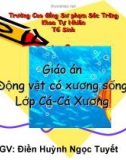 Bài giảng Sinh học - Bài: Lớp Cá xương