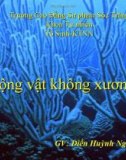 Bài giảng Sinh học - Bài: Động vật không xương