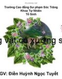 Bài giảng Sinh học - Bài: Động vật có xương sống