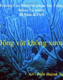 Bài giảng Động vật không xương: Ngành thân lỗ - GV. Điền Huỳnh Ngọc Tuyết