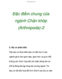 Đặc điểm chung của ngành Chân khớp (Arthropoda)-2