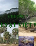 Chương 7: Sinh vật Việt Nam