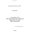 Các nguyên lý của dòng chảy chất lỏng và sóng mặt trong sông, cửa sông, biển và đại dương - Chương mở đầu