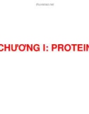 Bài giảng Chương 1: Protein