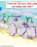 Bài giảng - Bài 11: VẬN CHUYỂN CÁC CHẤT QUA MÀNG SINH CHẤT