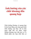 Ảnh hưởng của các chất khoáng đến quang hợp