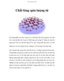 Chất lỏng spin lượng tử