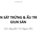 Bài giảng Thực hành Vi sinh - Ký sinh trùng: Quan sát trứng và ấu trùng giun sán - GV. Nguyễn Thị Ngọc Yến