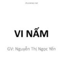 Bài giảng Thực hành Vi sinh - Ký sinh trùng: Vi nấm - GV. Nguyễn Thị Ngọc Yến