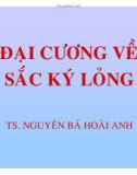 Bài giảng Đại cương về sắc ký lỏng - TS. Nguyễn Bá Hoài Anh