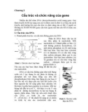 Chương 2 Cấu trúc và chức năng của gene