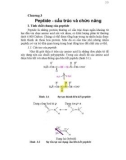 Peptide - cấu trúc và chức năng