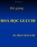 Bài giảng: Hoá học Glucid (TS. Phan Hải Nam)