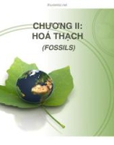 Bài giảng Cổ sinh vật học - Chương 2: Hóa thạch