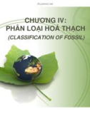 Bài giảng Cổ sinh vật học - Chương 4: Phân loại hóa thạch